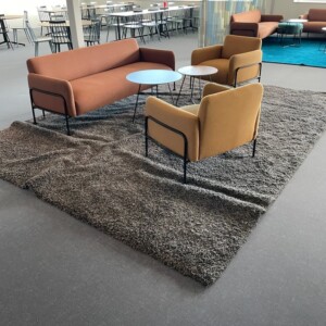 Carpet